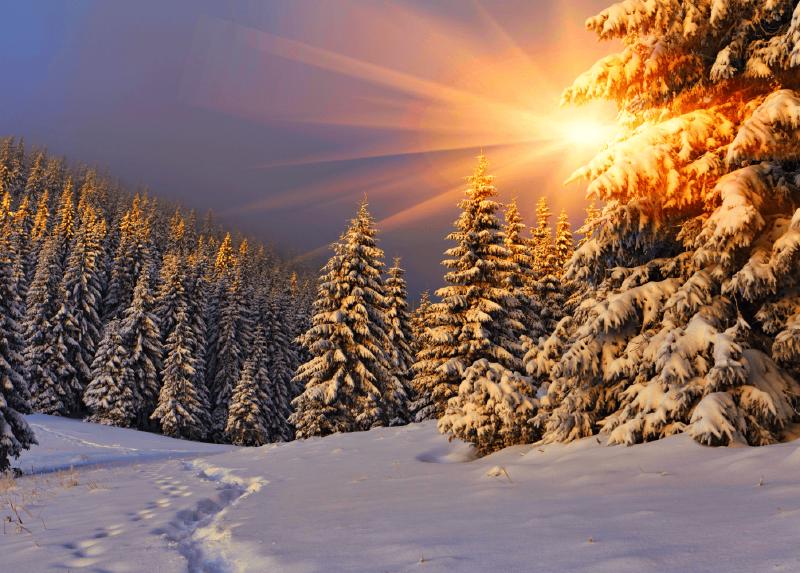 Featured image of post 关于